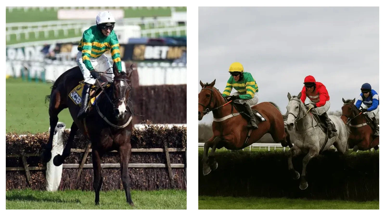 Horse racing news: Two-time IJC winner Ryan Moore in contention